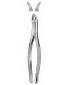 Tooth Forceps for Children  